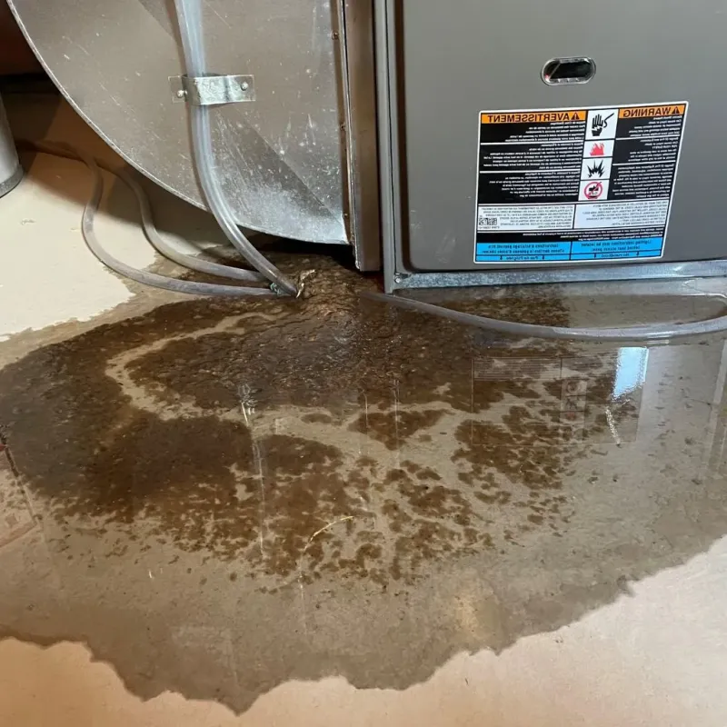 Pipe Burst and Leak Restoration in West Wenatchee, WA